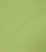 PÁG. 18 - Papel de Parede Vinílico Tropical Texture (Chinês) - Liso (Verde Abacate/ Leve Brilho)