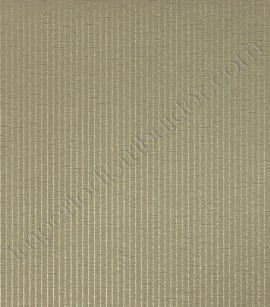 PÁG. 43 - Papel de Parede Vinílico Tropical Texture (Chinês) - Listras Finas (Marrom/ Detalhes com Brilho)
