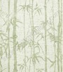 PÁG. 61 - Papel de Parede Vinílico Flow 3 (Italiano) - Bambu (Verde Claro)