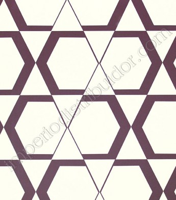 PÁG. 74/75 - Papel de Parede Vinílico Tropical Texture (Chinês) - Geométrico (Bordô/ Off-White)