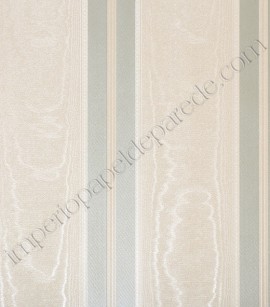 PÁG. 72 - Papel de Parede Vinílico Classic Stripes (Americano) - Listras com Veios de Madeira (Champagne/ Cinza/ Detalhes com Brilho)