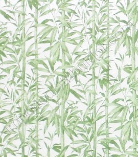 PÁG. 77B - Painel de Parede Vinílico Flow 3 (Italiano) - Bambu (Verde/ Off-White)