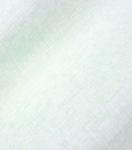PÁG. 11 - Papel de Parede Aspecto Têxtil Verde Claro Leve Brilho - Coleção Avalon 1 - Vinílico Importado