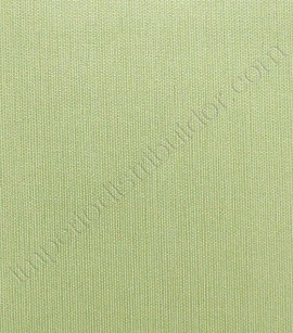 PÁG. 097 - Papel de Parede Liso - Importado Lavável - Coleção Classic Designs (Verde/ Com Brilho)