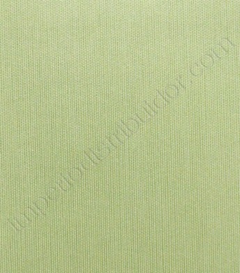 PÁG. 097 - Papel de Parede Liso - Importado Lavável - Coleção Classic Designs (Verde/ Com Brilho)